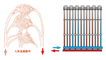 ?毛細(xì)管輻射空調(diào)系統(tǒng)效果好不好？毛細(xì)管輻射空調(diào)原理